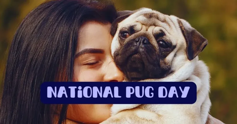 national pug day